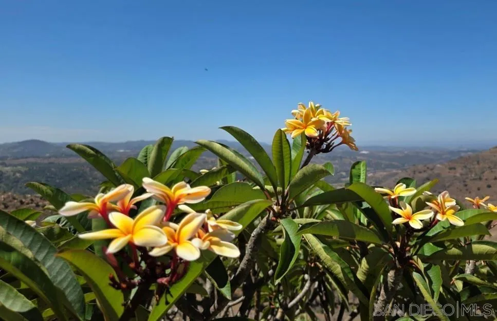 13155 McNally Road Valley Center, CA 92082 - Photo 55 of 69