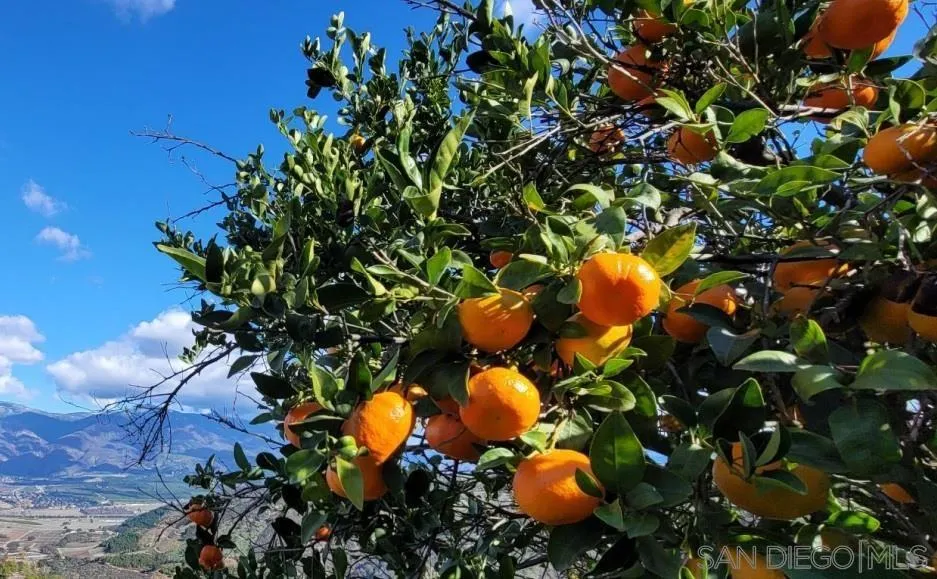 13155 McNally Road Valley Center, CA 92082 - Photo 56 of 69