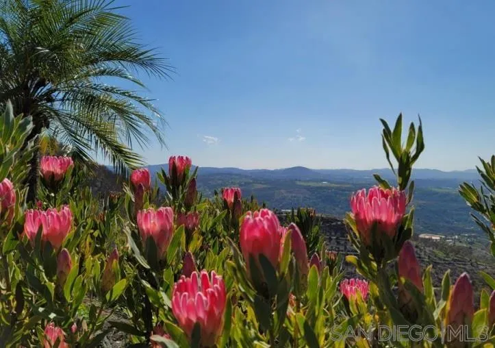 13155 McNally Road Valley Center, CA 92082 - Photo 58 of 69