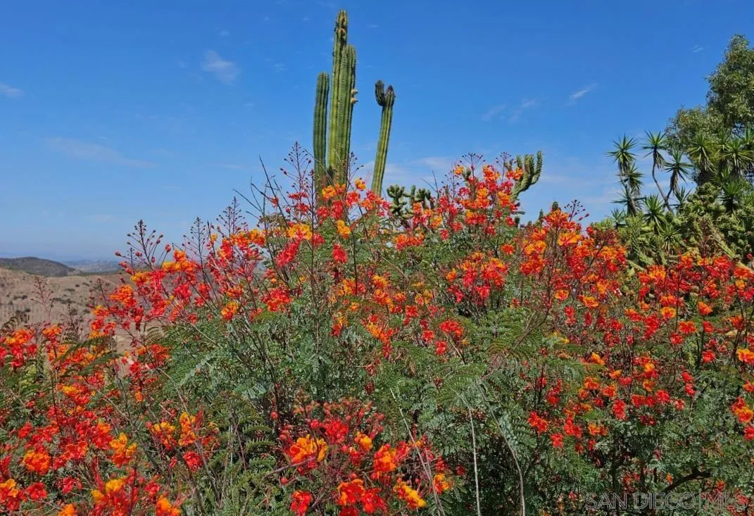13155 McNally Road Valley Center, CA 92082 - Photo 59 of 69