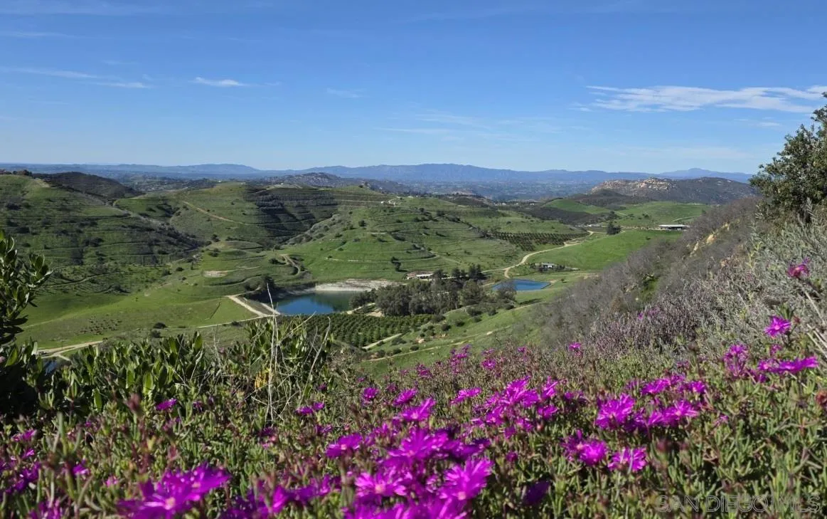 13155 McNally Road Valley Center, CA 92082 - Photo 61 of 69