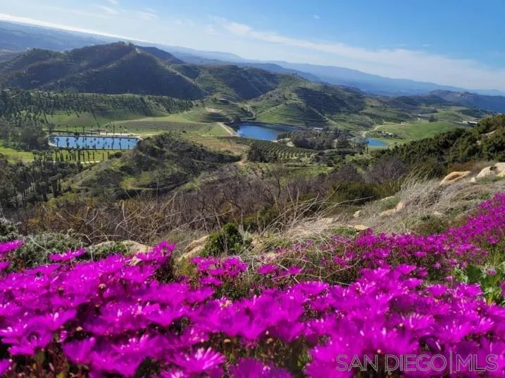 13155 McNally Road Valley Center, CA 92082 - Photo 62 of 69