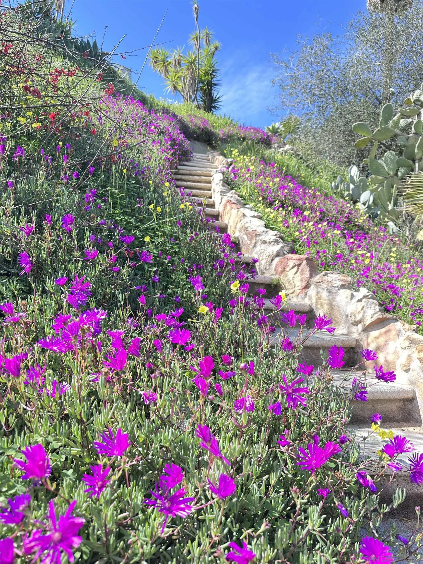 13155 McNally Road Valley Center, CA 92082 - Photo 67 of 69