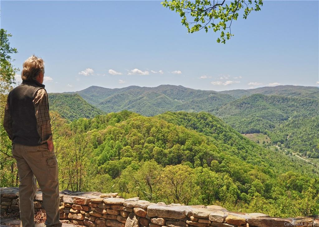 3217 Baltimore Branch Road Hot Springs, NC 28743 - Photo 2 of 37 Gallery Image 2
