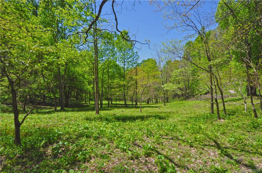 3217 Baltimore Branch Road Hot Springs, NC 28743 - Photo 32 of 37 Gallery Image 32