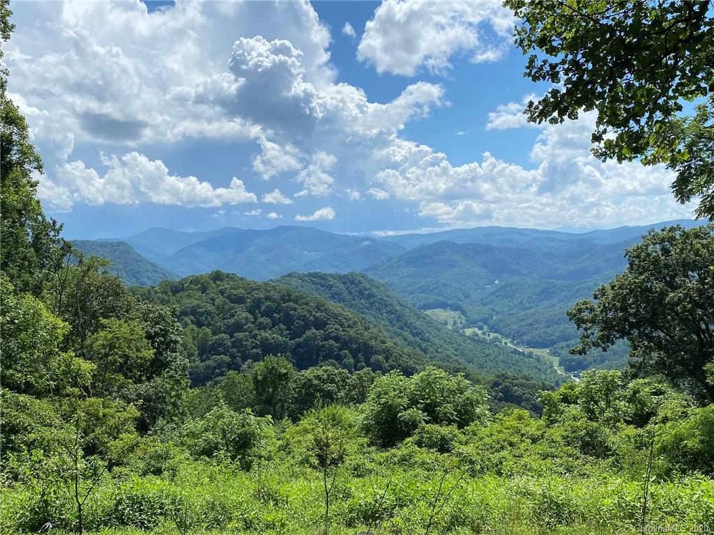 3217 Baltimore Branch Road Hot Springs, NC 28743 - Photo 37 of 37 Gallery Image 37
