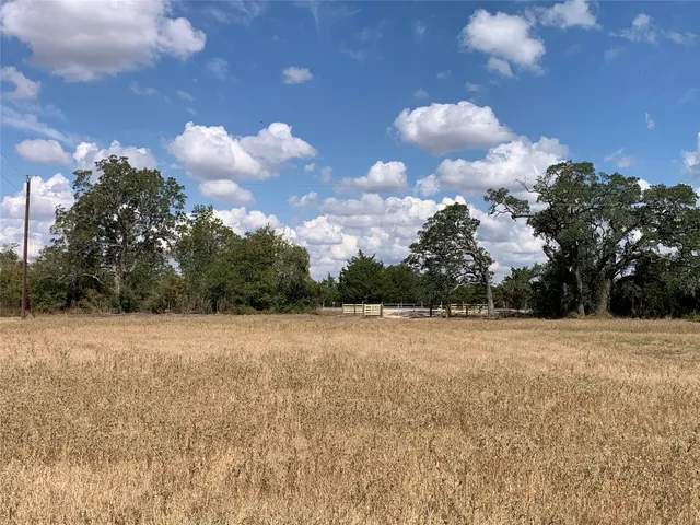 a view of open space with trees in the background