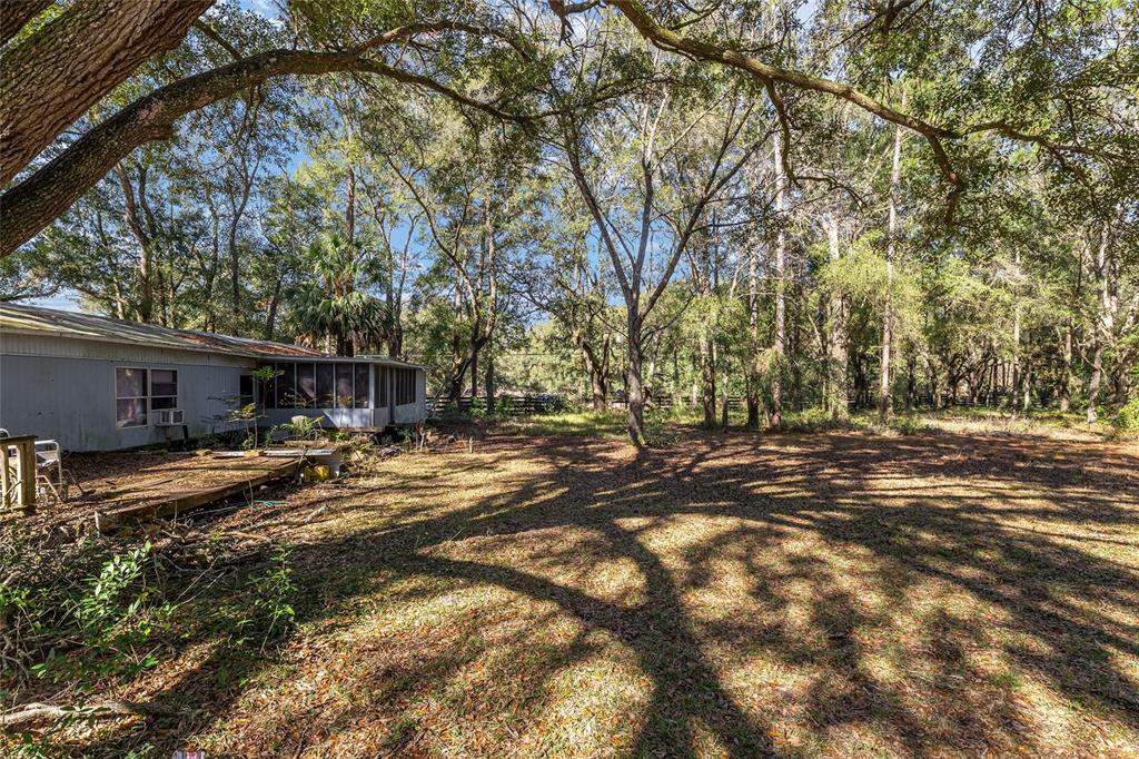 9727 Southwest 138th Street Archer, FL 32618 - Photo 9 of 15 a view of a yard with a tree