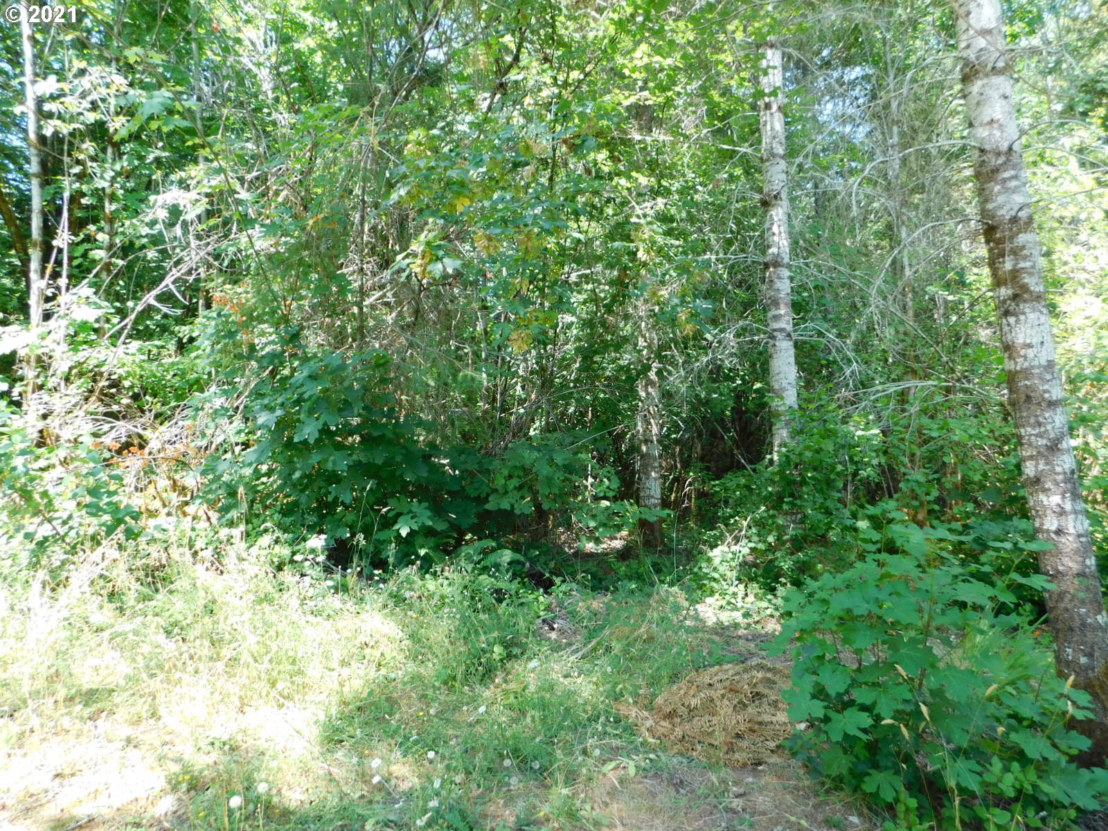 21652 Vaughn Road Veneta, OR 97487 - Photo 31 of 32 Gallery Image 31