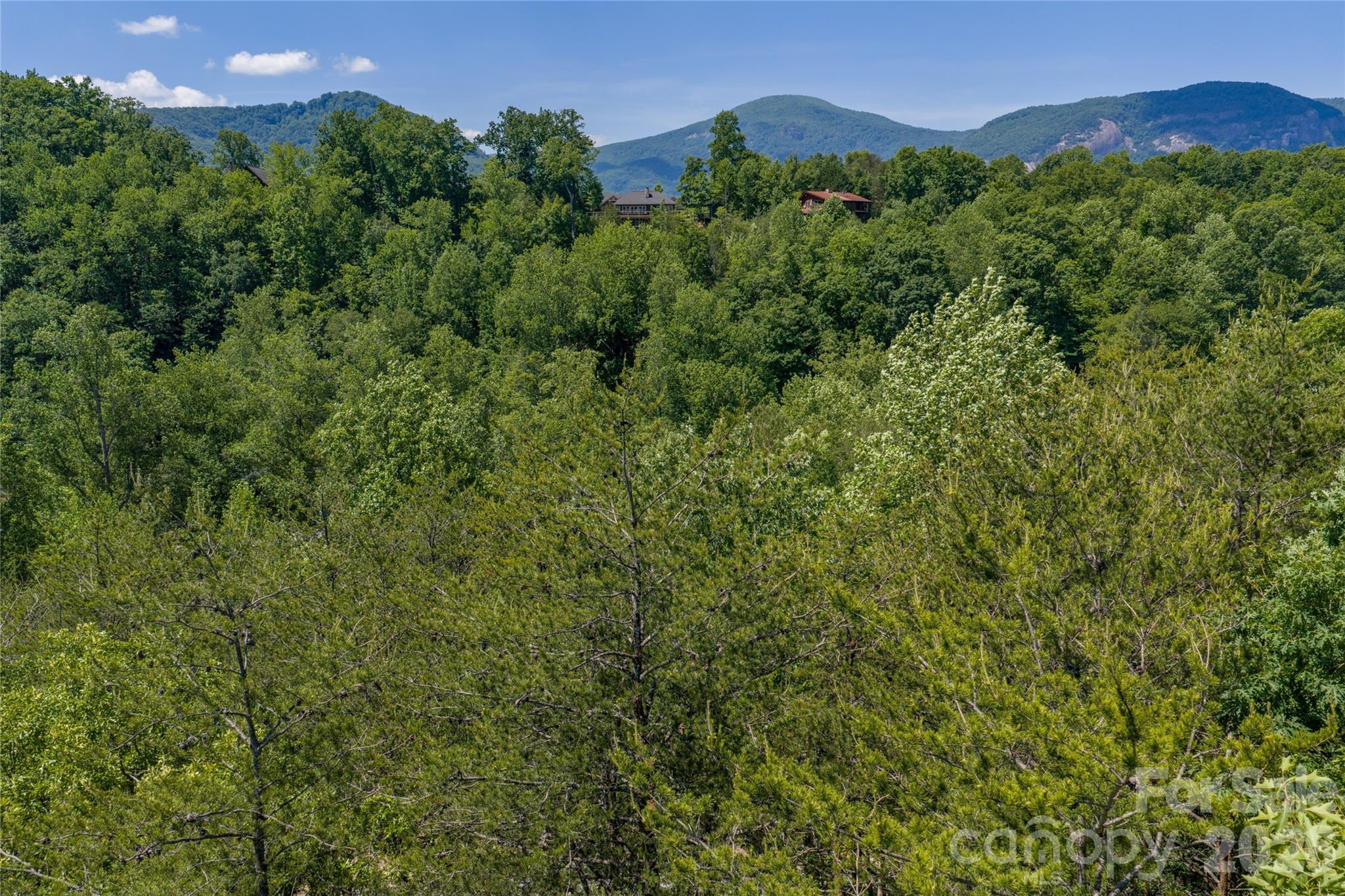 0 View Trail Lake Lure, NC 28746 - Photo 3 of 11 a view of a lush green outdoor space with a swimming pool and valleys in the background