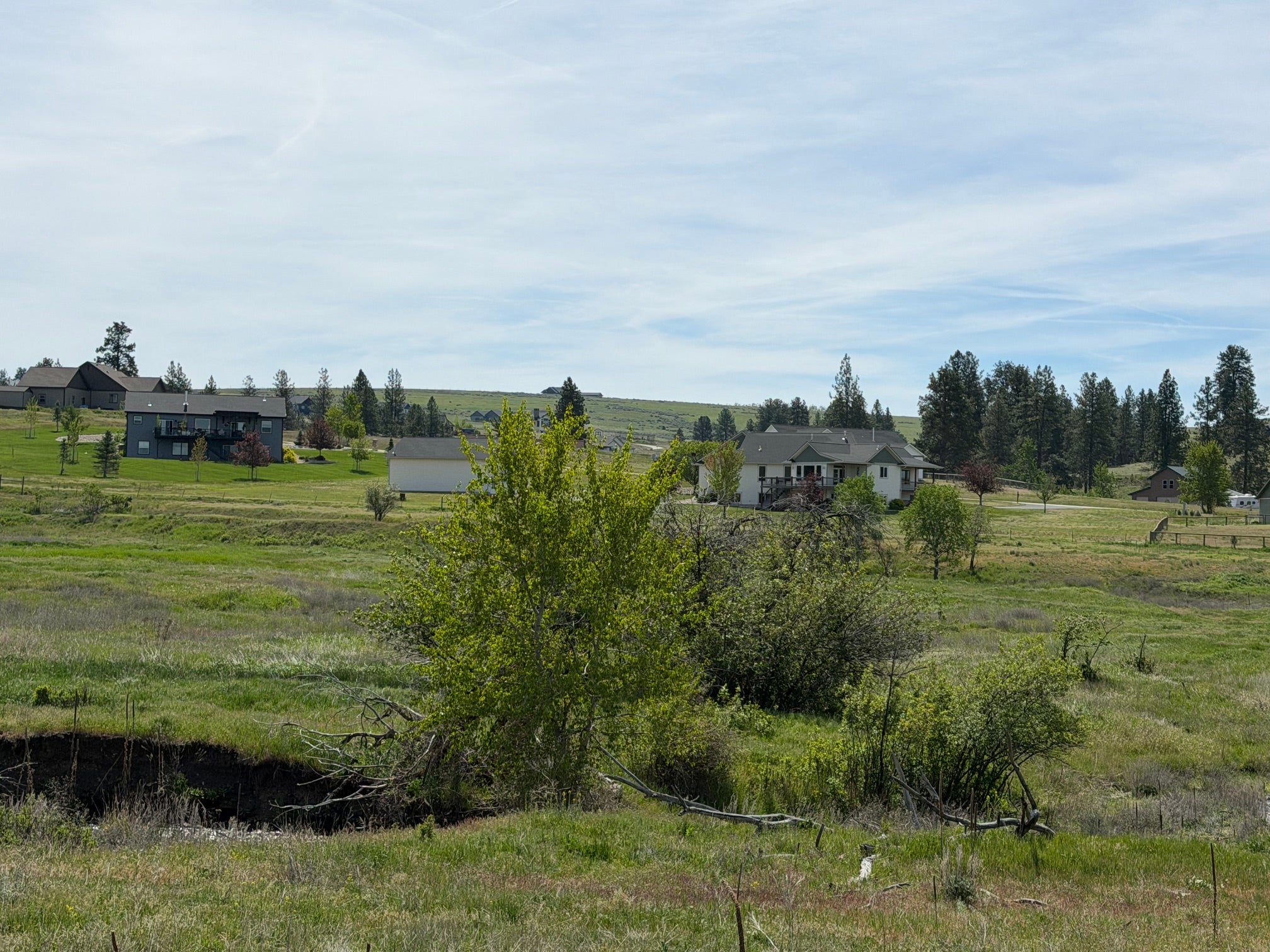 5559 Riley Lane Florence, MT 59833 - Photo 10 of 18 Gallery Image 10