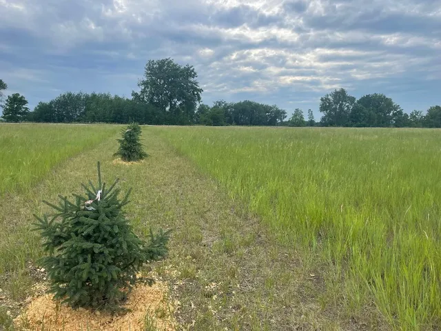 $150,000 | 10486 State Highway South, Barnesville, MN 56514