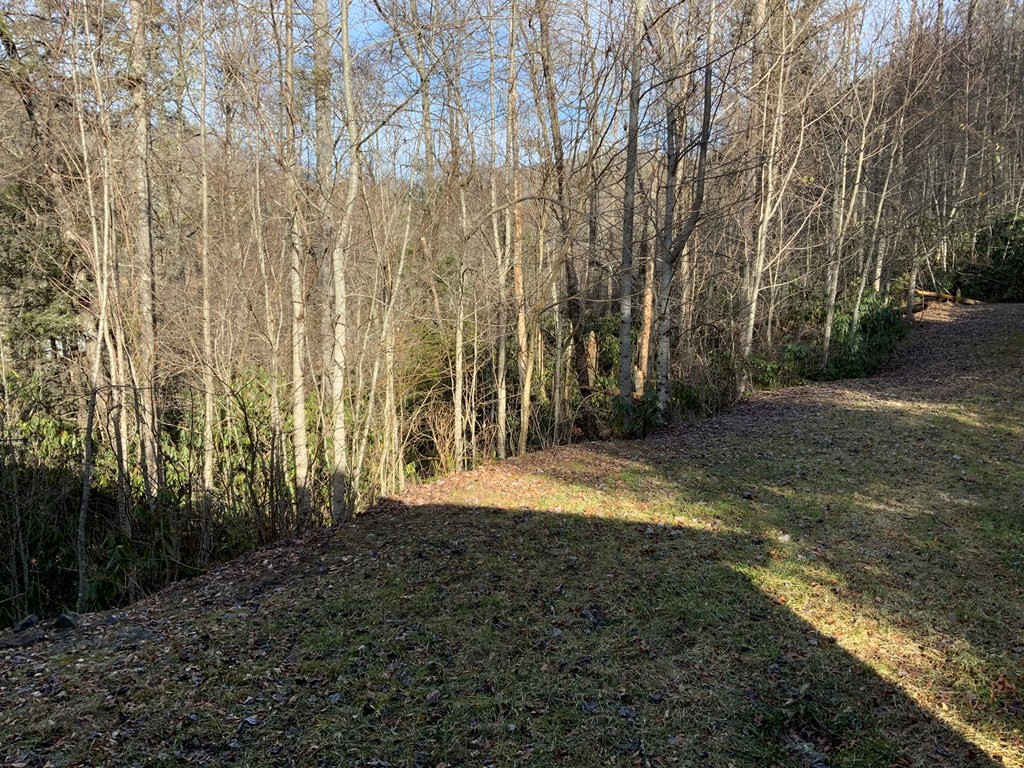 60 Porterfield Gap Road Robbinsville, NC 28771 - Photo 24 of 35