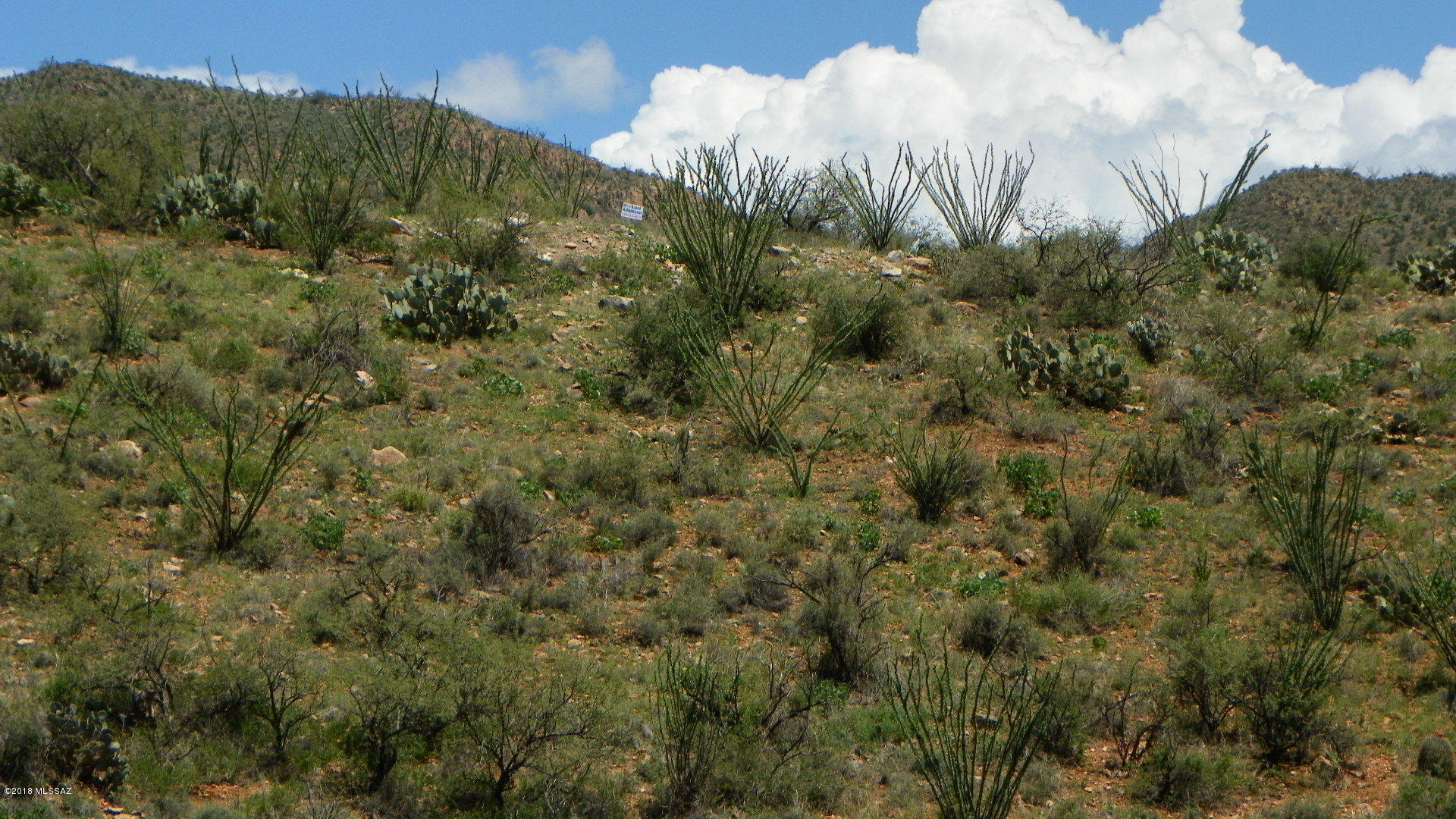 335 Circulo Chica, Unit 21 Rio Rico, AZ 85648 - Photo 9 of 10