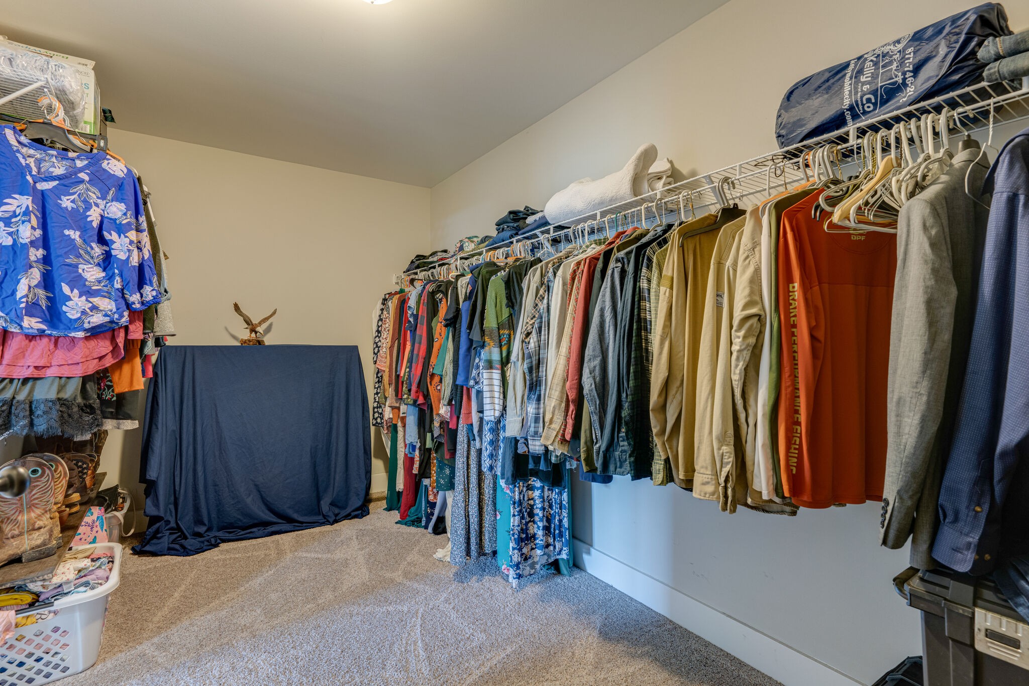 10350 Canoe Branch Road Castalian Springs, TN 37031 - Photo 18 of 30 Gallery Image 18