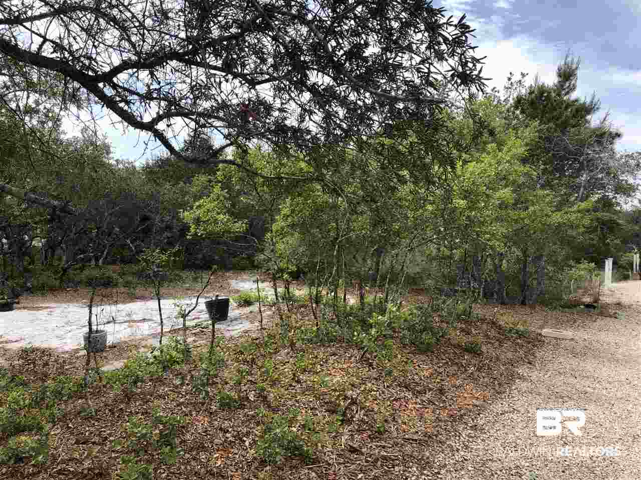 60 Parks Edge Orange Beach, AL 36561 - Photo 14 of 14