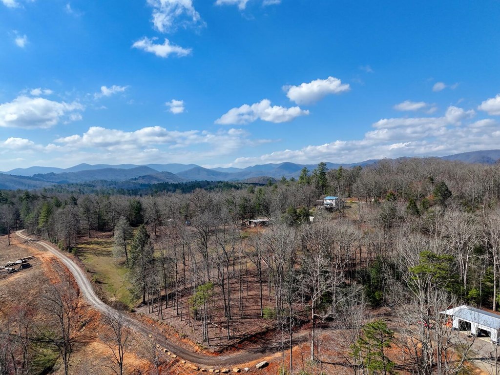 Lot B7 Bent Wood Lane Blue Ridge, GA 30513 - Photo 2 of 7 Gallery Image 2