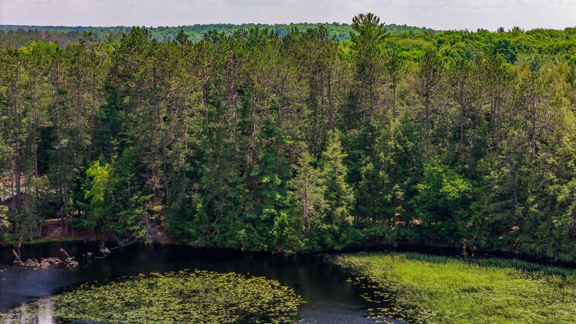 Lot 2 Staehling Road Three Lakes, WI 54562 - Photo 6 of 12