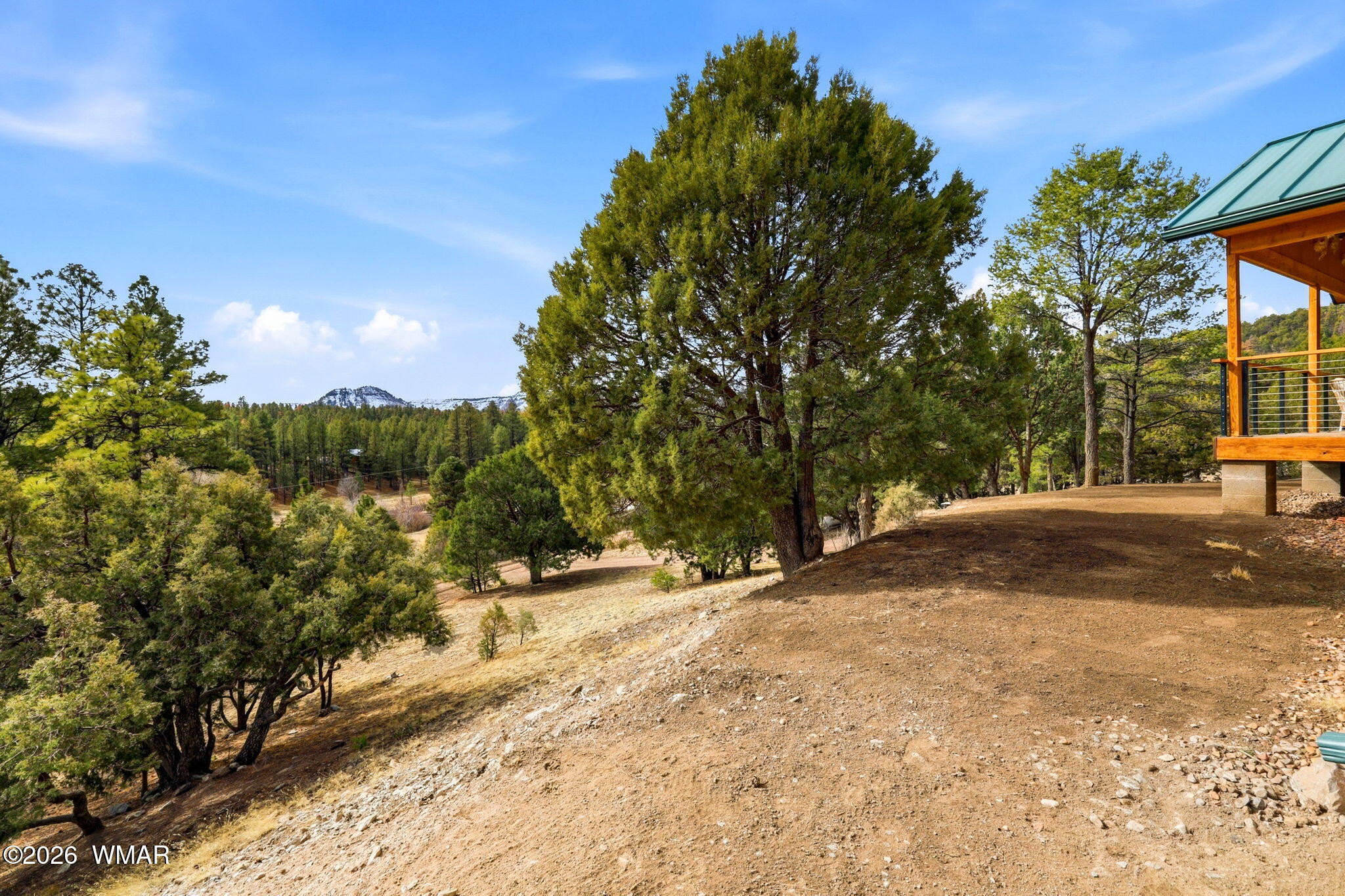 11-15 Co Road Nutrioso, AZ 85932 - Photo 12 of 47 a view of road with large trees