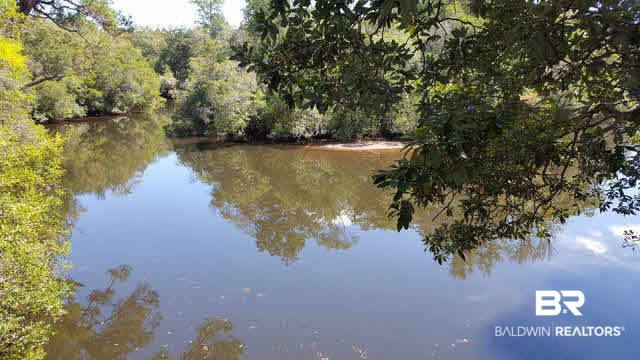 34858 Brandon Lake Road Bay Minette, AL 36507 - Photo 13 of 16