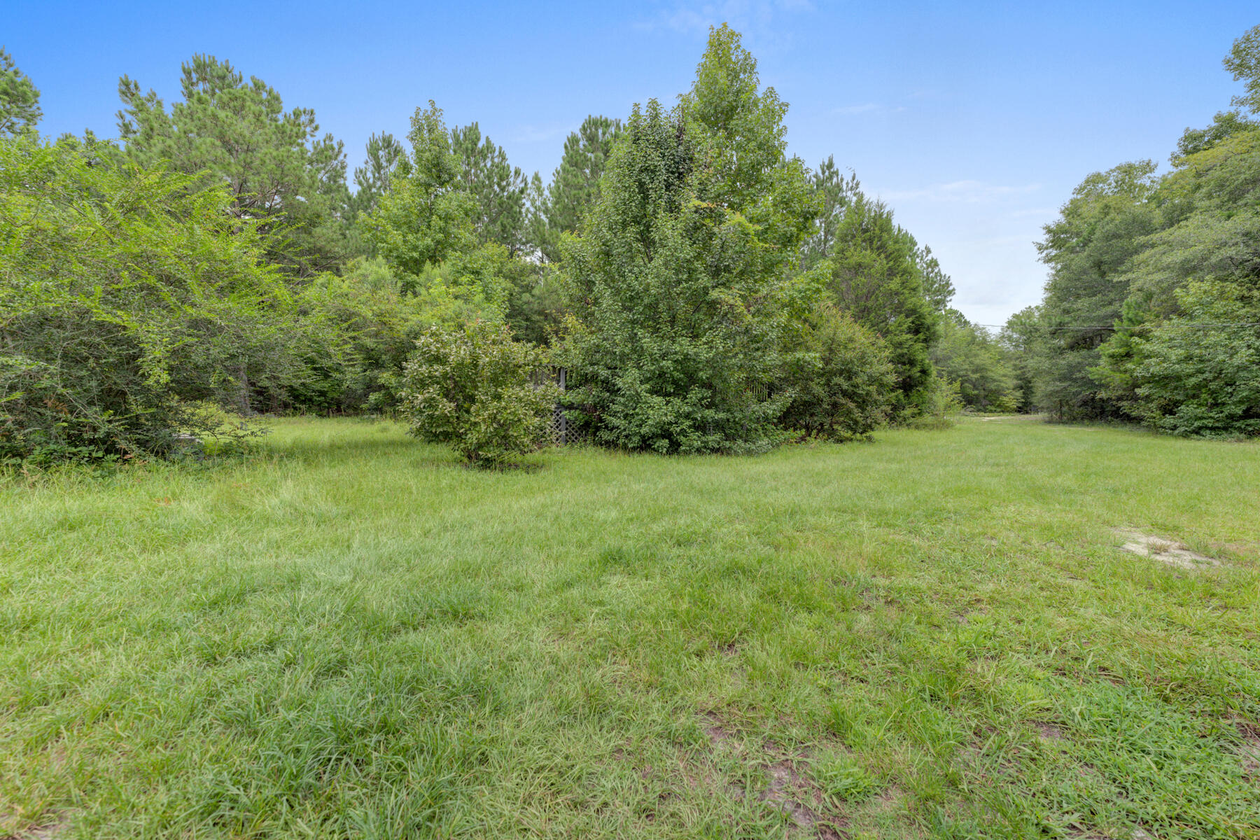 155 Maple Branch Road Reevesville, SC 29471 - Photo 18 of 30 155 Maple Branch Rd, Reevesville SC (23)