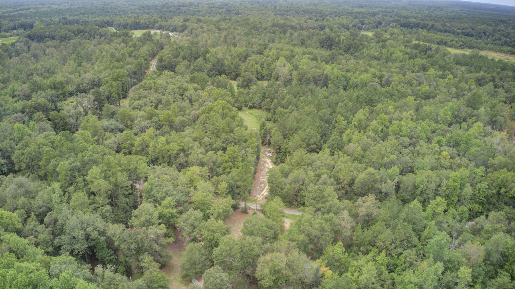 155 Maple Branch Road Reevesville, SC 29471 - Photo 22 of 30 155 Maple Branch Rd, Reevesville SC (31)