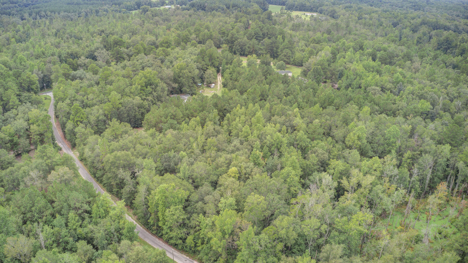 155 Maple Branch Road Reevesville, SC 29471 - Photo 23 of 30 155 Maple Branch Rd, Reevesville SC (32)