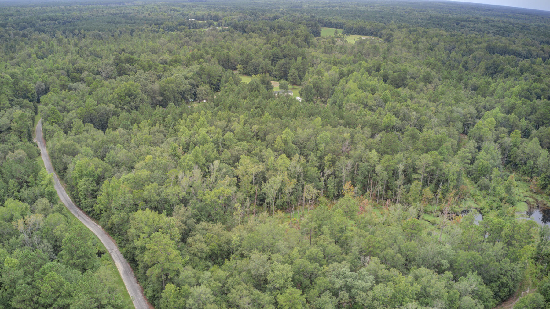 155 Maple Branch Road Reevesville, SC 29471 - Photo 24 of 30 155 Maple Branch Rd, Reevesville SC (33)
