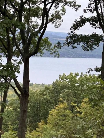 $2,970,000 | 0 Satterly Way, Burdett, NY 14818