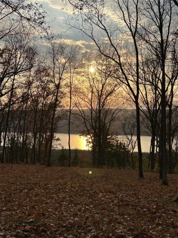 0 Satterly Way Burdett, NY 14818 - Photo 5 of 5