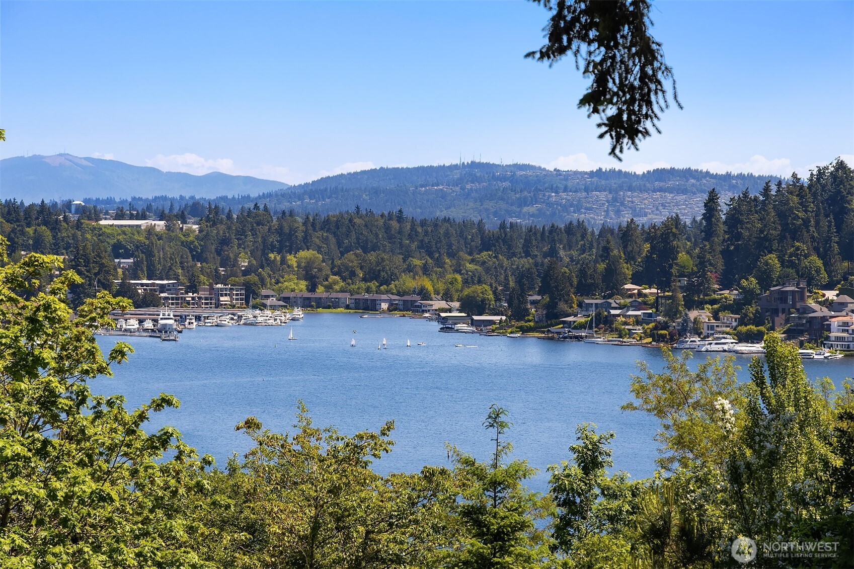 602 Upland Road Medina, WA 98039 - Photo 1 of 26 Gallery Image 1