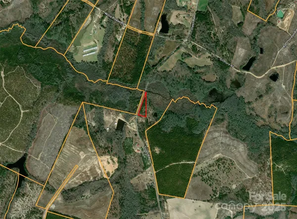 $48,500 | 0 Steen Road, Mount Croghan, SC 29727