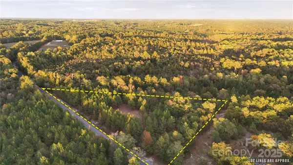 a view of city and green space