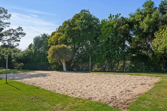 a view of a yard with trees
