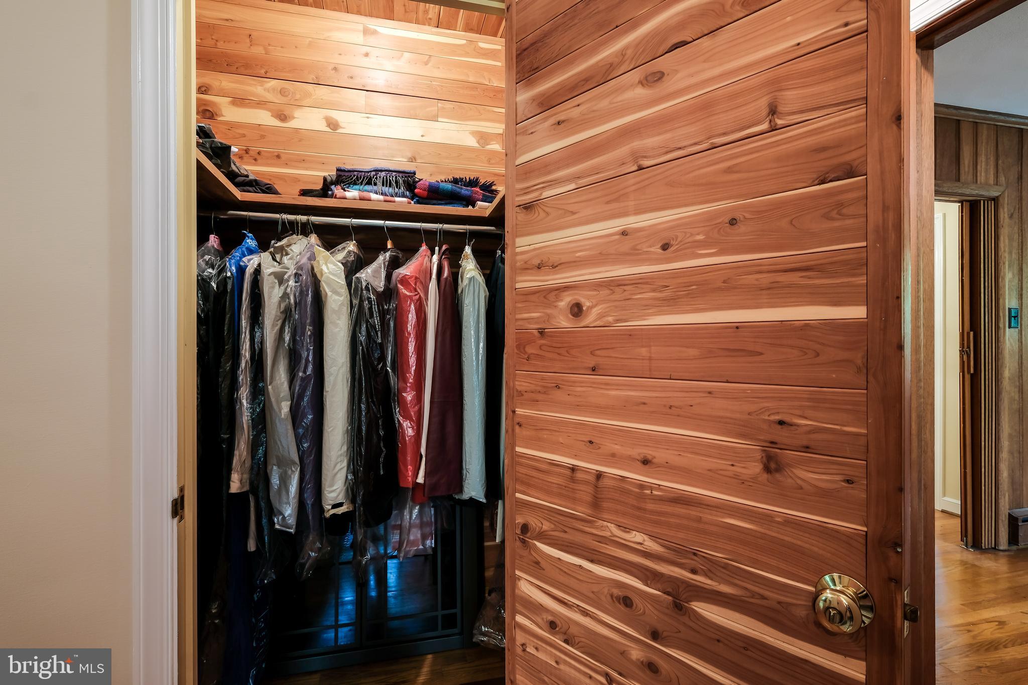 800 Chauncey Road Penn Valley, PA 19072 - Photo 15 of 35 Cedar closet