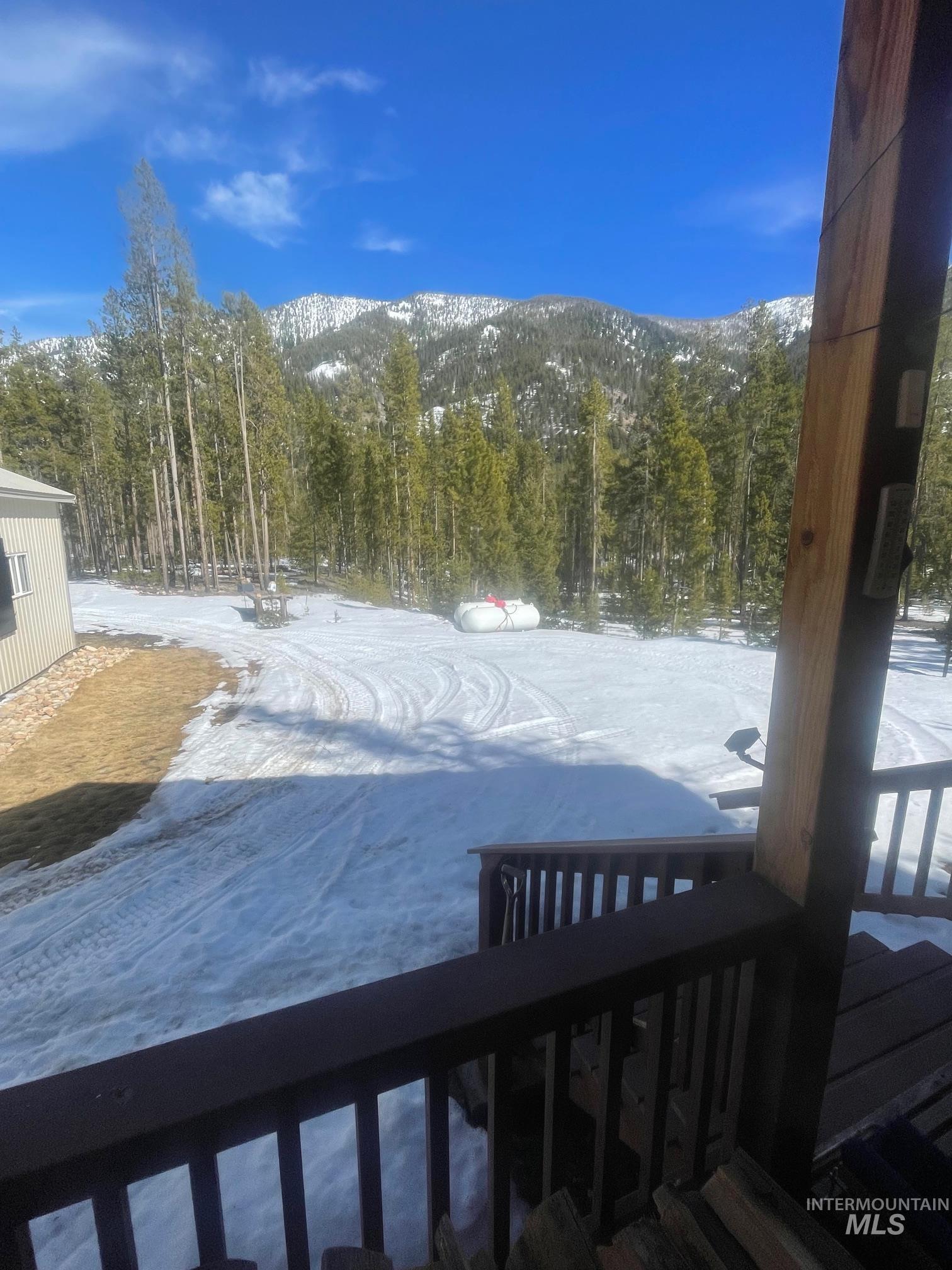 17567 Edwardsburg Road Yellow Pine, ID 83677 - Photo 4 of 11 Expansive exterior with a natural landscape, mature evergreen trees, and snow-capped mountain backdrop