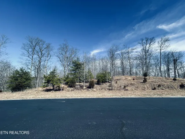 $93,000 | 256 West Mountain Drive, Rockwood, TN 37854