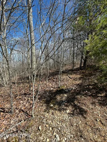 $93,000 | 256 West Mountain Drive, Rockwood, TN 37854