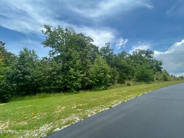 $93,000 | 256 West Mountain Drive, Rockwood, TN 37854