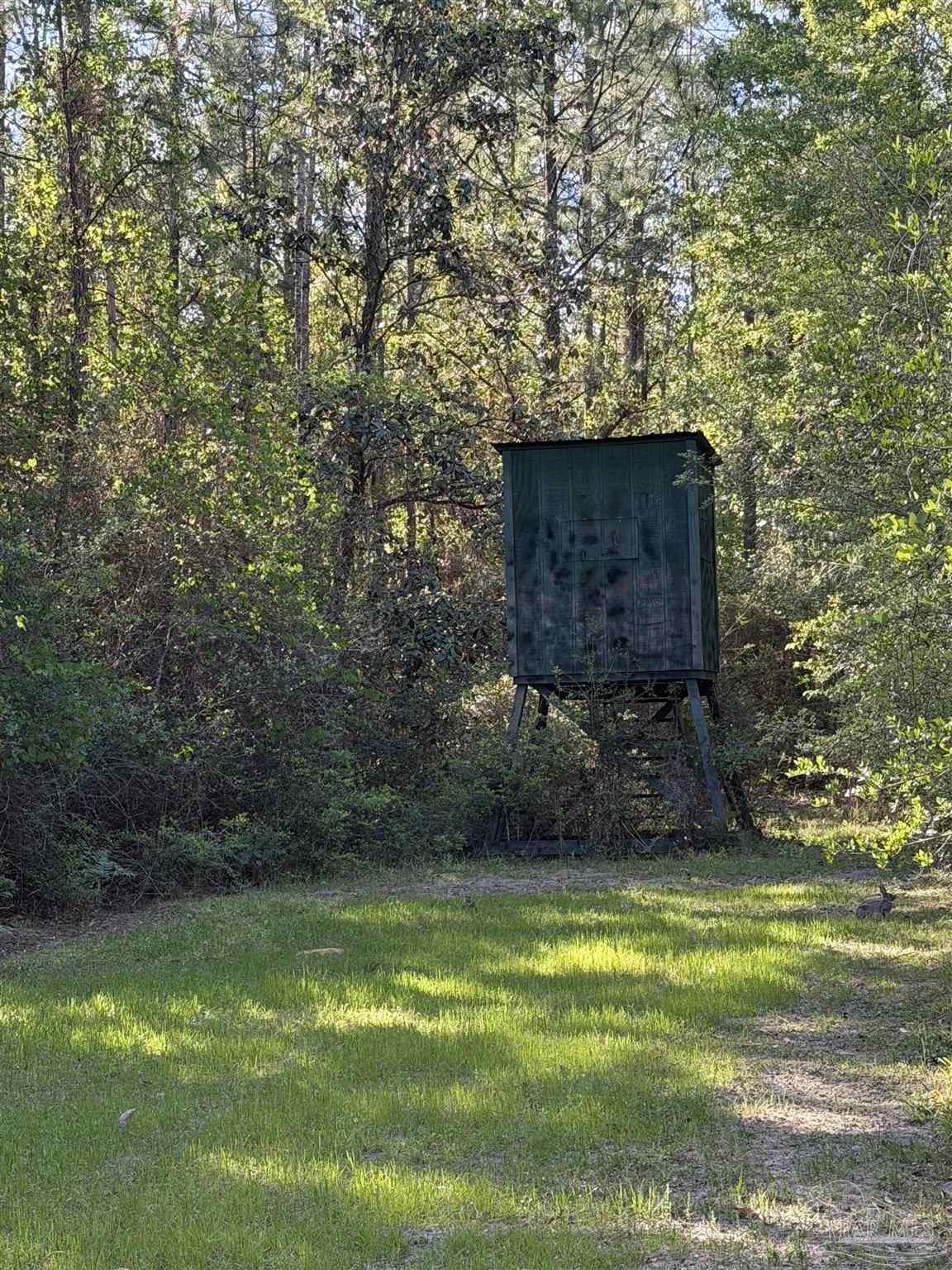 0 Whitfield Road Milton, FL 32570 - Photo 11 of 20 a view of a backyard