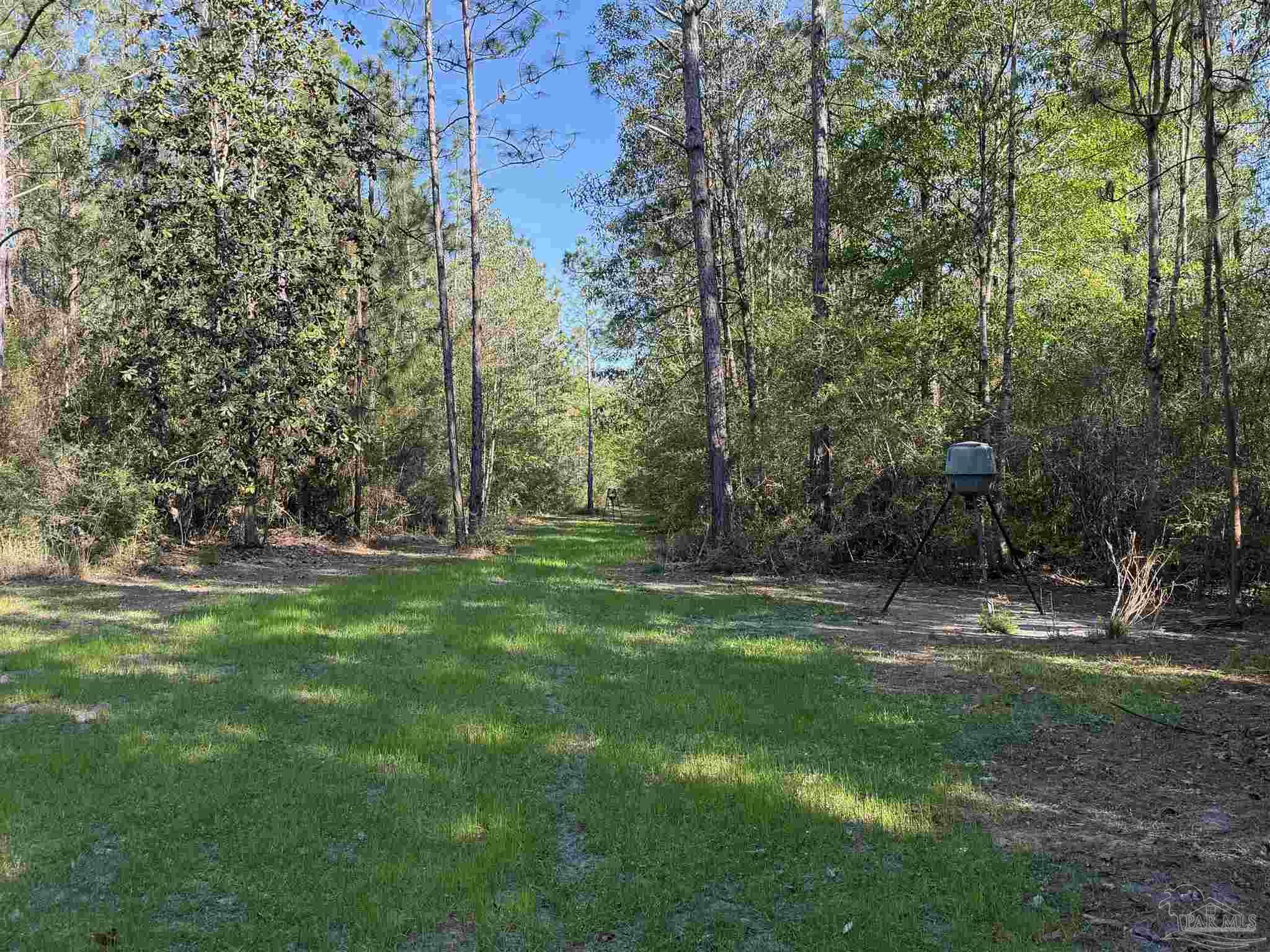 0 Whitfield Road Milton, FL 32570 - Photo 13 of 20 a view of a park with large trees