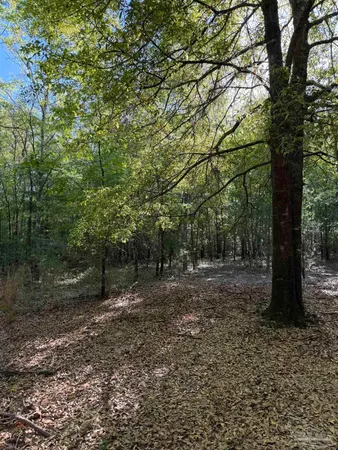 $589,000 | 0 Whitfield Road, Milton, FL 32570