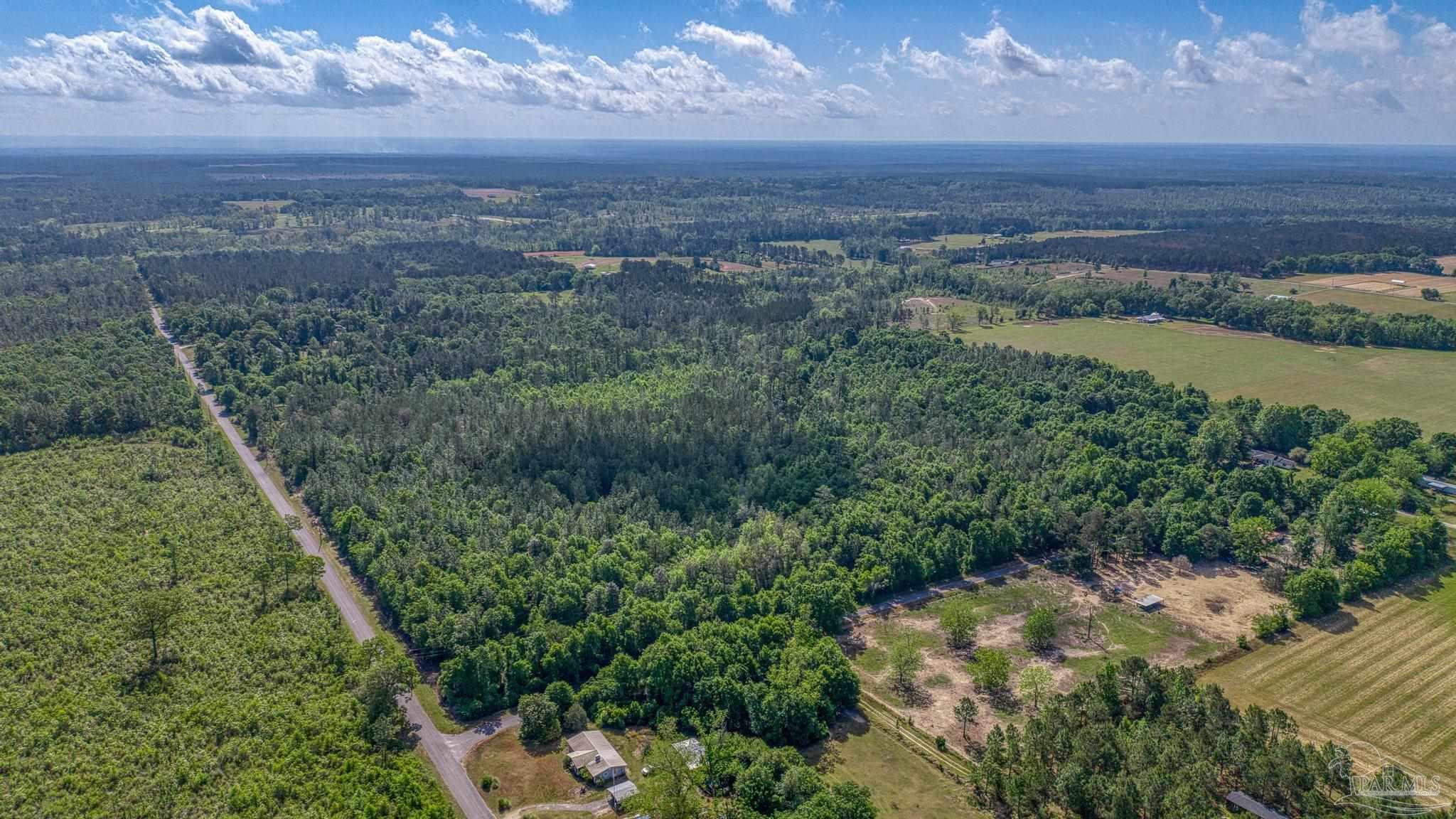 0 Whitfield Road Milton, FL 32570 - Photo 5 of 20 a view of a lake in middle of forest