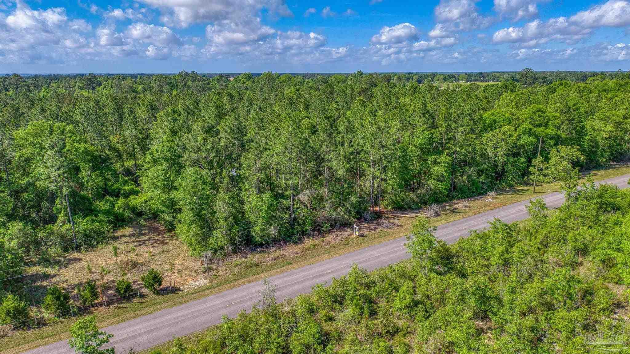 0 Whitfield Road Milton, FL 32570 - Photo 7 of 20 a view of a yard with plants and a yard