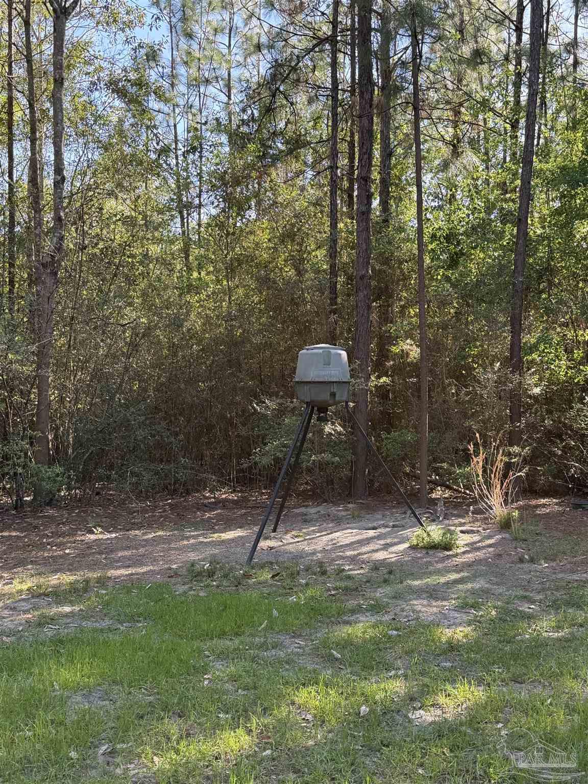 0 Whitfield Road Milton, FL 32570 - Photo 10 of 20 a view of outdoor space and yard