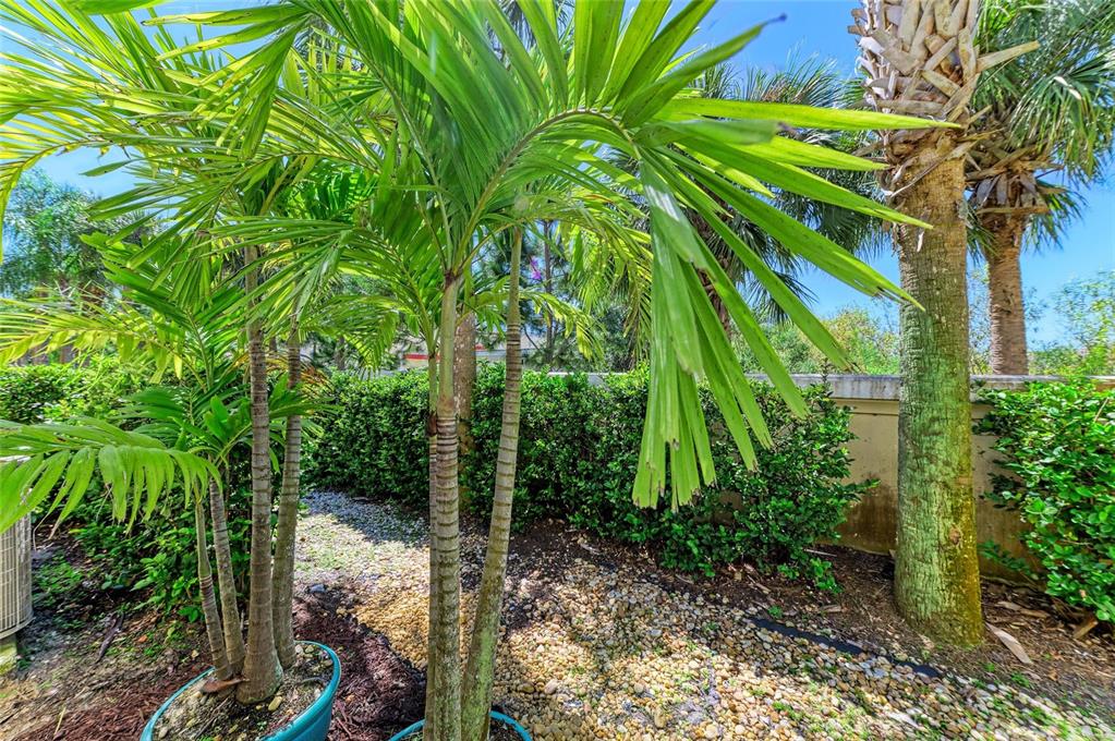 8015 Limestone Lane, Unit 15101 Sarasota, FL 34233 - Photo 31 of 46 a backyard of a house with lots of green space