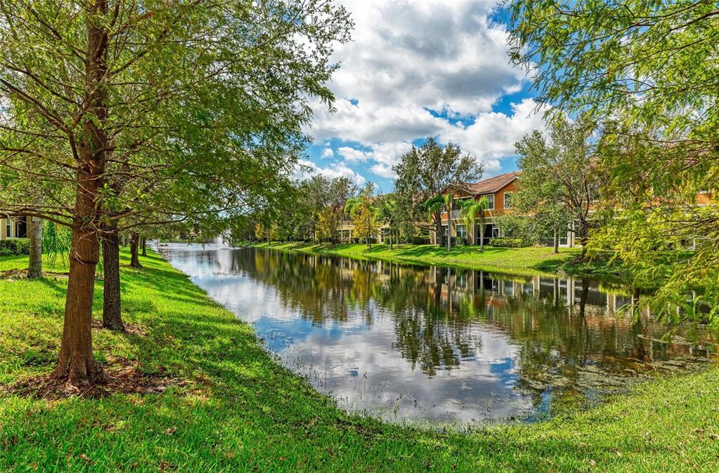 8015 Limestone Lane, Unit 15101 Sarasota, FL 34233 - Photo 36 of 46 a view of a lake in between two large trees