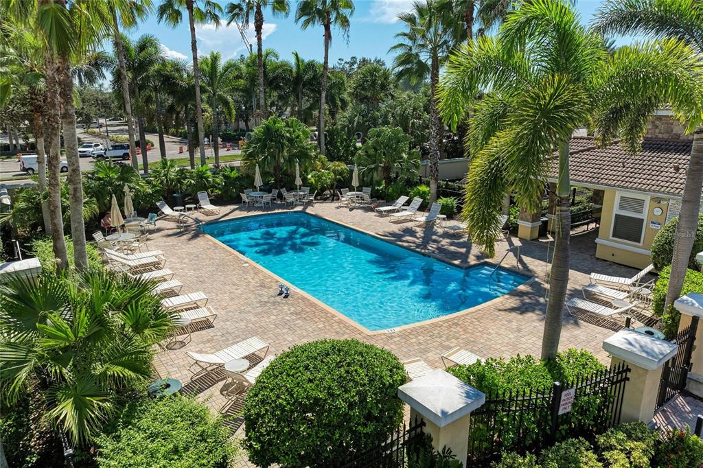 8015 Limestone Lane, Unit 15101 Sarasota, FL 34233 - Photo 43 of 46 a view of a swimming pool with a patio