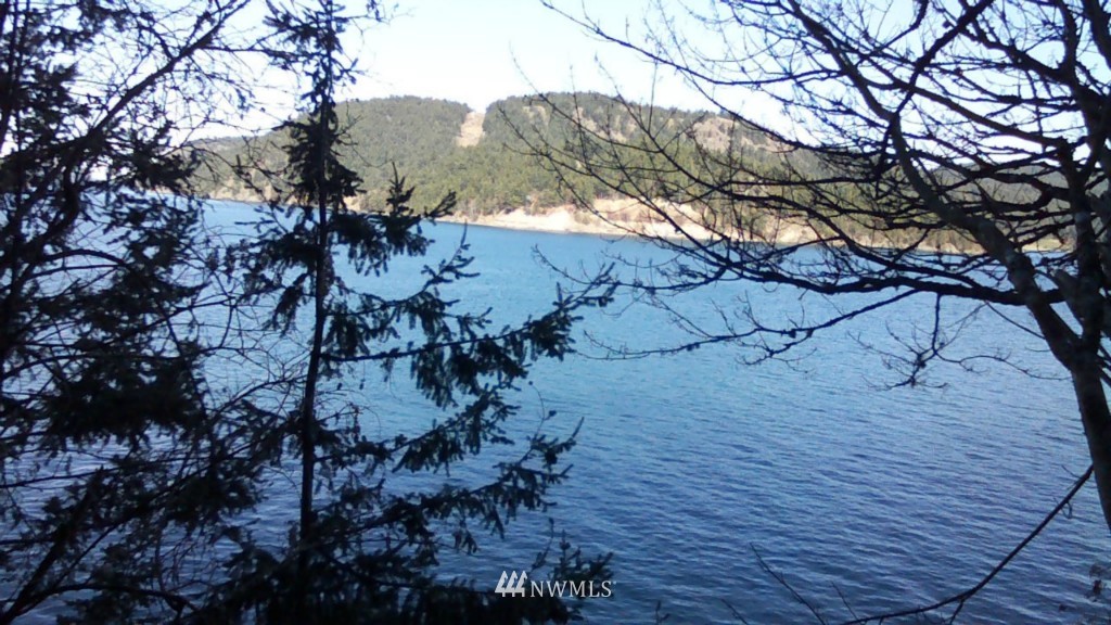 2132 Thatcher Pass Road Decatur Island, WA 98221 - Photo 1 of 1