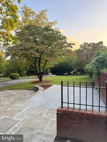 a view of a park with large trees